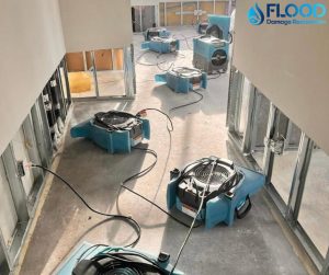 Air movers and dehumidifiers.