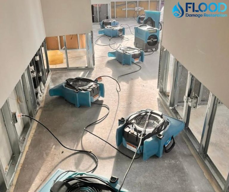 Air movers and dehumidifiers.