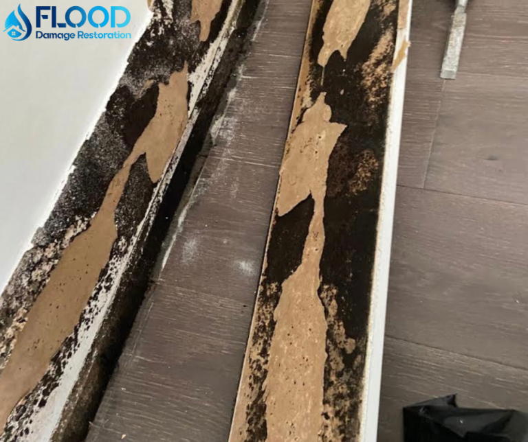 mold in walls.