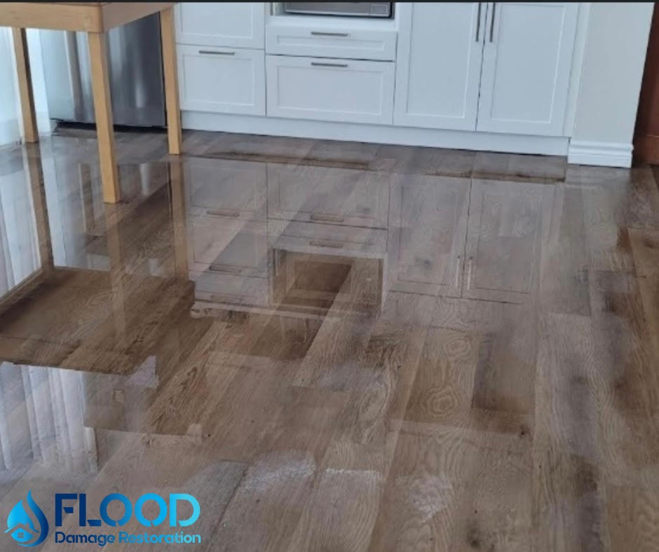 water damage oakville