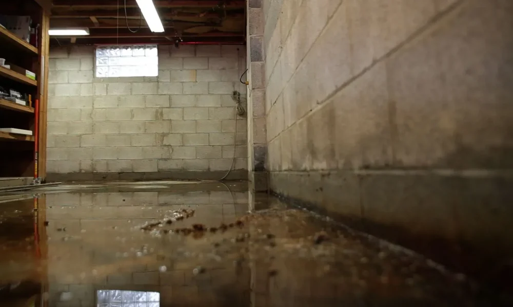 Flooded Basement (1)
